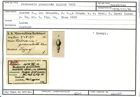 Karteikarte zum Holotyp von Nodosaria granulata Karrer, 1878